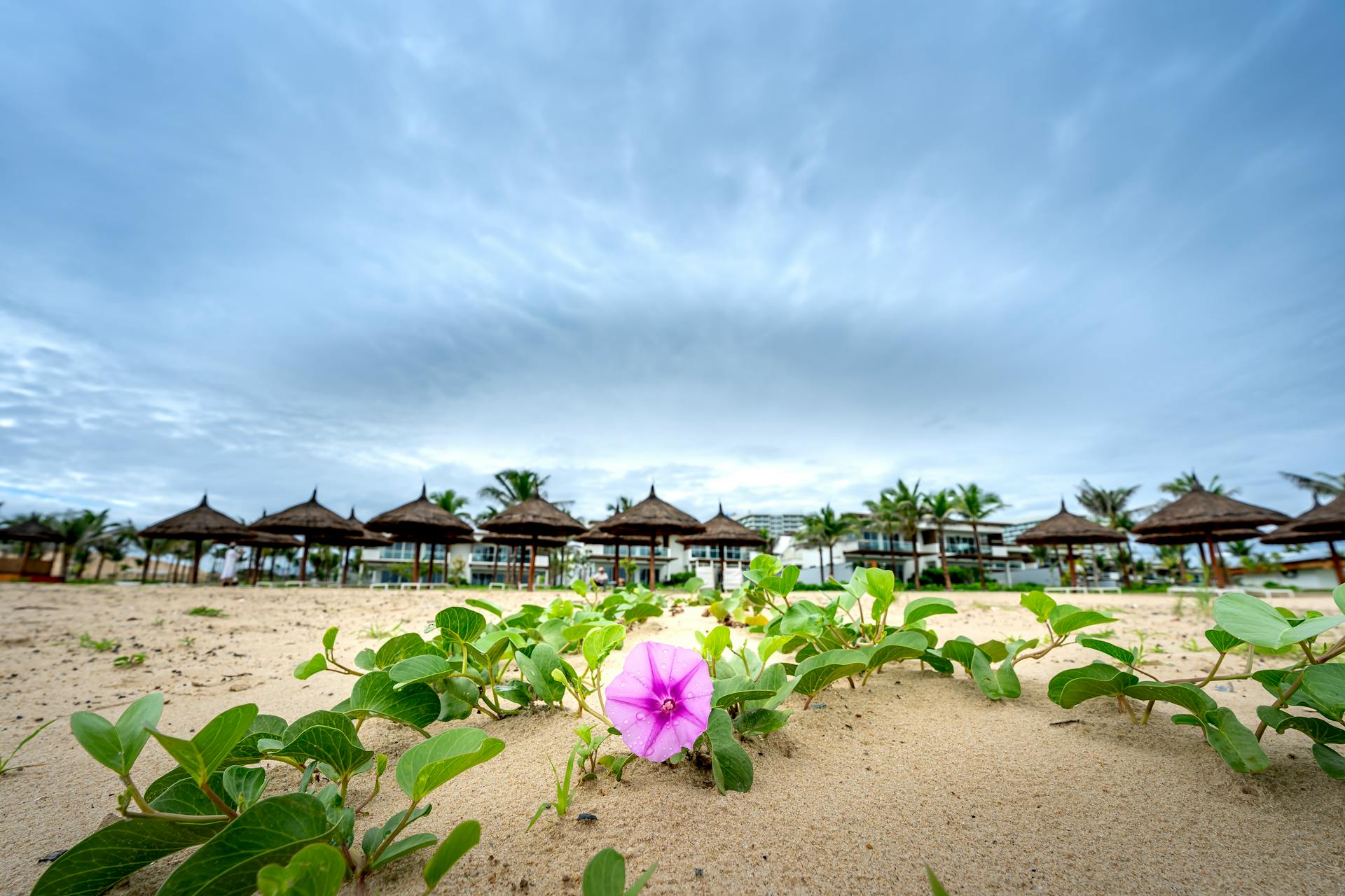 Private car from Vung Tau to Mui Ne