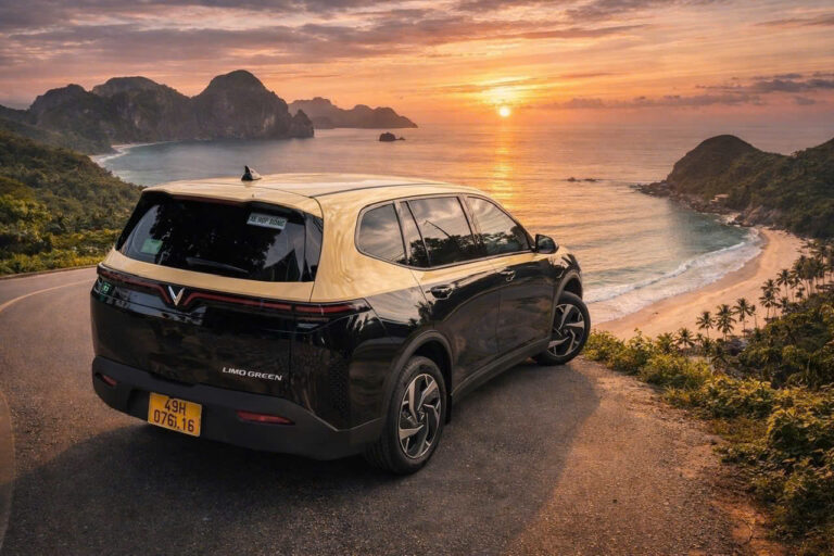 Vinfast Limogreen transfer